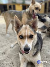 photo_2025-08-12_03-28-36