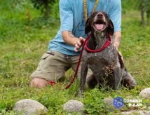 53KSYi5G66rwG9gqcvXcW8TeKdsmXAQtNv3grD14DmBCxmg_bp3x_6WhsPMku8sTxpdMM-u6oZCNdoqF8yOCS6bQ