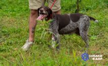 GE-Mp0Ofv3mwz7lHbu7x4fEWoh7RIVrdZsuY2Q3Qy-YOmQQet2FXzH1q9gq8tI2K3KFY66w4eO30ue0BAiLKne2o