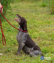 Qk3RcQs1ASpboOleUecox-zyaRDaeyG9WQDCzzMsw3FD2GZk5Jbdzfl_fQdS2HMN4TpLTUSYgJA3c0FJAk1_JORH