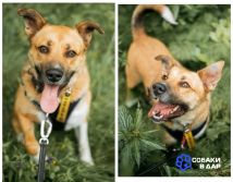 MyCollages - 2025-09-11T151911.392