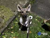 avito-1761398334210-shot