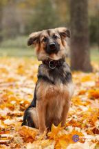 IMG_20251028_182154_380