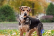 photo_2025-11-03_16-37-59