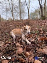 QhhRtMiGxKa6iOzhWmzXrX9x4OmrCzZoQtGI3V6v3aHjl0_0oLyGO5IYcS0sl12rVC2IfzLAQc8y4iZ21rHpEklw