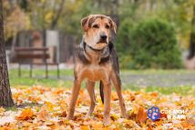 IMG_20251201_195518_470