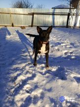 76FMd3089Y4E6gRxZ2SO3TgnKBK0TVibyhd09soSqQm_11jj-v9NabxwLLtrgFji55ocf4R5KbLnQoUVl8PkLBv4