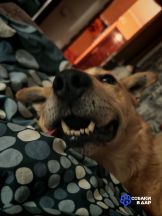 IMG_20260128_120338_005