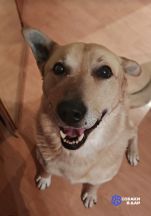 IMG_20260313_131535_689