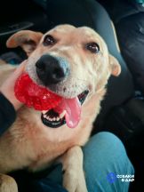 IMG_20260313_131550_251