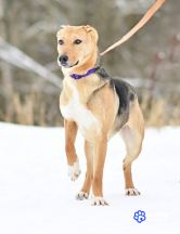 photo_2026-02-15_14-21-24