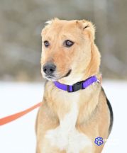 photo_2026-02-15_14-21-28