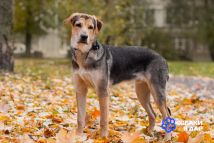 photo_2025-11-03_16-37-57