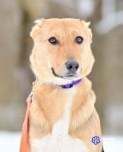 photo_2026-02-15_14-21-20