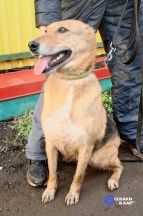 photo_2026-02-15_14-21-31