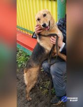 photo_2026-02-15_14-21-35