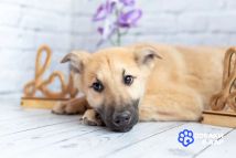 IMG_20260407_143953_683