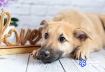 IMG_20260407_143953_699