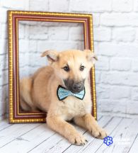 IMG_20260407_143953_789